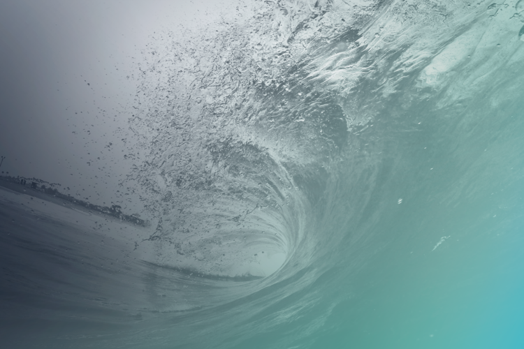 Webinar: Data Tsunami or the Data Trickle? Getting beyond the data deluge and the data/decision deficit
